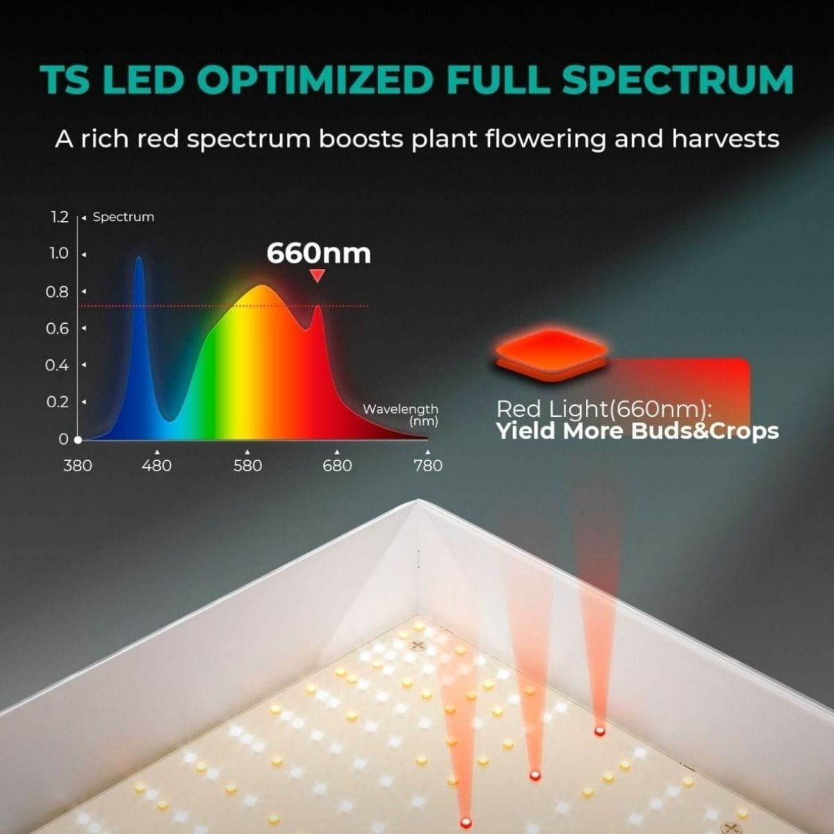 Mars Hydro TSW2000 300W Bitki Yetiştirme Ledi - Görsel 2