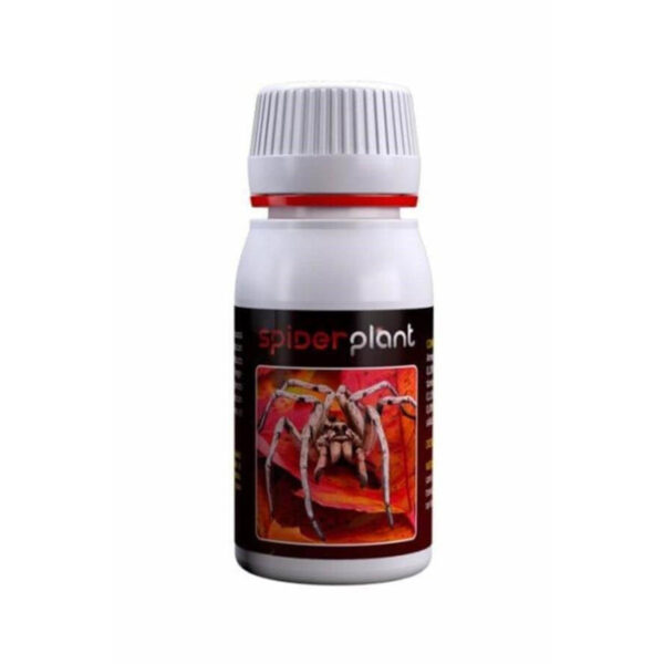Agrobacterias Spider Plant 60 Ml