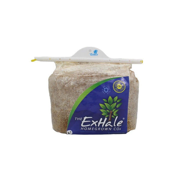 Exhale CO2 Torbası